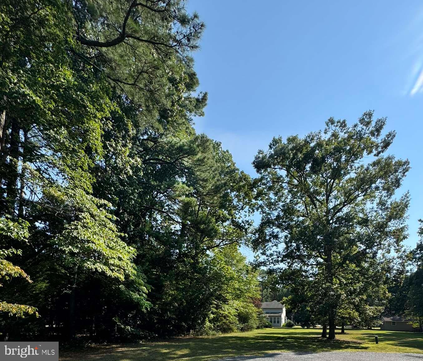 LOT 1981 SHIPS CT, GREENBACKVILLE, Virginia 23356, ,Land,For sale,LOT 1981 SHIPS CT,VAAC2002250 MLS # VAAC2002250