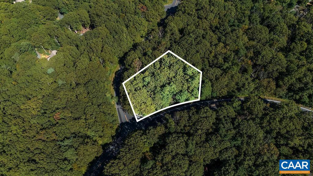 862 SHAMOKIN SPRINGS TRL, WINTERGREEN RESORT, Virginia 22967, ,Land,For sale,862 SHAMOKIN SPRINGS TRL,669009 MLS # 669009
