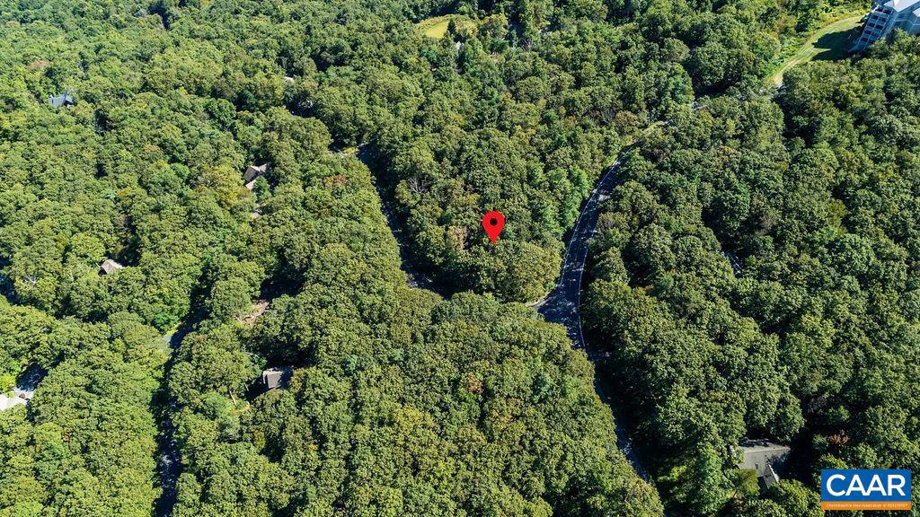 862 SHAMOKIN SPRINGS TRL, WINTERGREEN RESORT, Virginia 22967, ,Land,For sale,862 SHAMOKIN SPRINGS TRL,669009 MLS # 669009