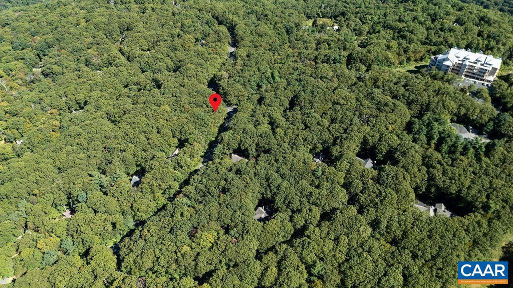 862 SHAMOKIN SPRINGS TRL, WINTERGREEN RESORT, Virginia 22967, ,Land,For sale,862 SHAMOKIN SPRINGS TRL,669009 MLS # 669009