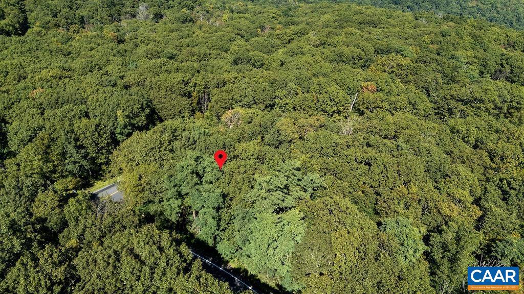 862 SHAMOKIN SPRINGS TRL, WINTERGREEN RESORT, Virginia 22967, ,Land,For sale,862 SHAMOKIN SPRINGS TRL,669009 MLS # 669009