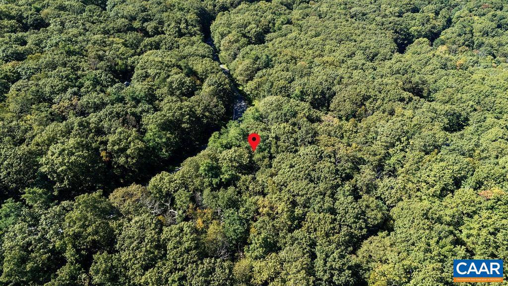 862 SHAMOKIN SPRINGS TRL, WINTERGREEN RESORT, Virginia 22967, ,Land,For sale,862 SHAMOKIN SPRINGS TRL,669009 MLS # 669009