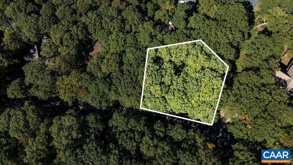 862 SHAMOKIN SPRINGS TRL, WINTERGREEN RESORT, Virginia 22967, ,Land,For sale,862 SHAMOKIN SPRINGS TRL,669009 MLS # 669009