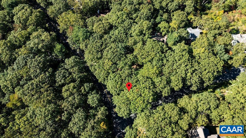 862 SHAMOKIN SPRINGS TRL, WINTERGREEN RESORT, Virginia 22967, ,Land,For sale,862 SHAMOKIN SPRINGS TRL,669009 MLS # 669009