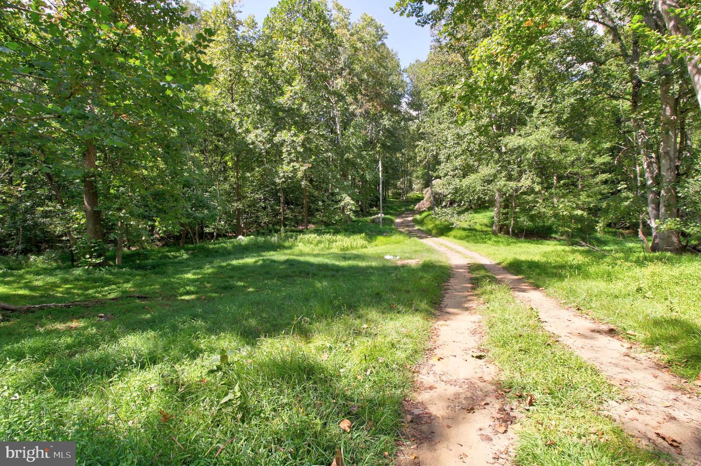 669 GID BROWN HOLLOW RD, WASHINGTON, Virginia 22747, 3 Bedrooms Bedrooms, ,2 BathroomsBathrooms,Residential,For sale,669 GID BROWN HOLLOW RD,VARP2002262 MLS # VARP2002262