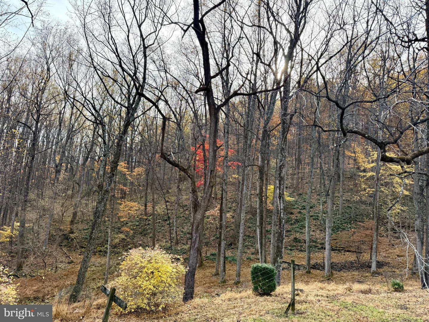 669 GID BROWN HOLLOW RD, WASHINGTON, Virginia 22747, 3 Bedrooms Bedrooms, ,2 BathroomsBathrooms,Residential,For sale,669 GID BROWN HOLLOW RD,VARP2002262 MLS # VARP2002262 669 GID BROWN HOLLOW RD, WASHINGTON, Virginia 22747, 3 Bedrooms Bedrooms, ,2 BathroomsBathrooms,Residential,For sale,669 GID BROWN HOLLOW RD,VARP2002262 MLS # VARP2002262