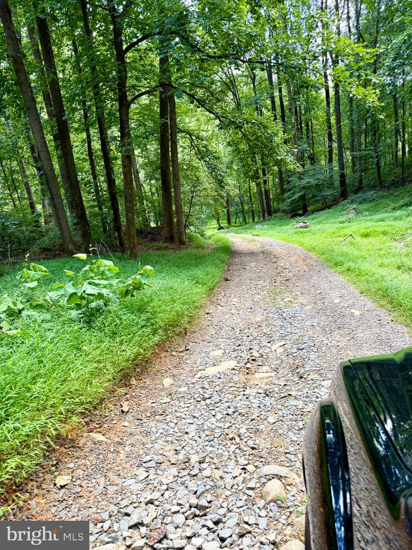 669 GID BROWN HOLLOW RD, WASHINGTON, Virginia 22747, 3 Bedrooms Bedrooms, ,2 BathroomsBathrooms,Residential,For sale,669 GID BROWN HOLLOW RD,VARP2002262 MLS # VARP2002262 669 GID BROWN HOLLOW RD, WASHINGTON, Virginia 22747, 3 Bedrooms Bedrooms, ,2 BathroomsBathrooms,Residential,For sale,669 GID BROWN HOLLOW RD,VARP2002262 MLS # VARP2002262