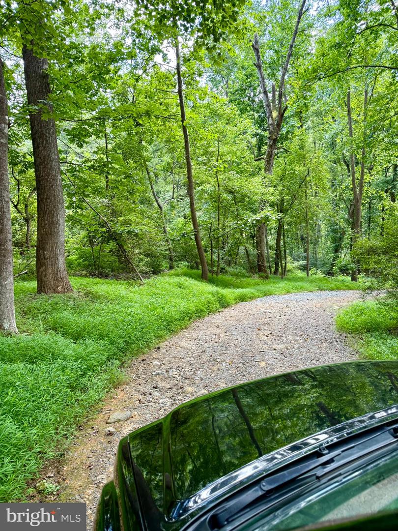 669 GID BROWN HOLLOW RD, WASHINGTON, Virginia 22747, 3 Bedrooms Bedrooms, ,2 BathroomsBathrooms,Residential,For sale,669 GID BROWN HOLLOW RD,VARP2002262 MLS # VARP2002262 669 GID BROWN HOLLOW RD, WASHINGTON, Virginia 22747, 3 Bedrooms Bedrooms, ,2 BathroomsBathrooms,Residential,For sale,669 GID BROWN HOLLOW RD,VARP2002262 MLS # VARP2002262