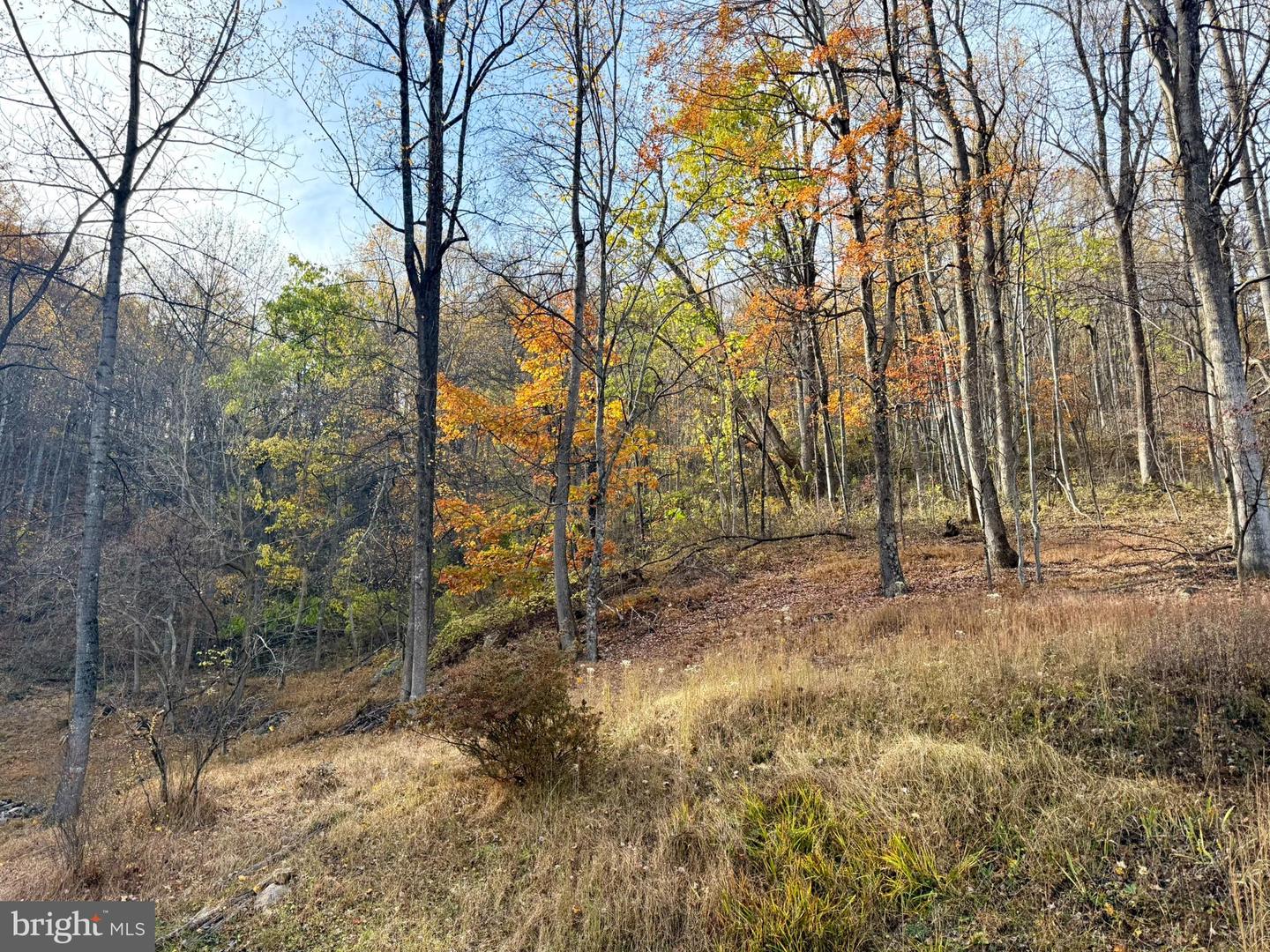 669 GID BROWN HOLLOW RD, WASHINGTON, Virginia 22747, 3 Bedrooms Bedrooms, ,2 BathroomsBathrooms,Residential,For sale,669 GID BROWN HOLLOW RD,VARP2002262 MLS # VARP2002262 669 GID BROWN HOLLOW RD, WASHINGTON, Virginia 22747, 3 Bedrooms Bedrooms, ,2 BathroomsBathrooms,Residential,For sale,669 GID BROWN HOLLOW RD,VARP2002262 MLS # VARP2002262