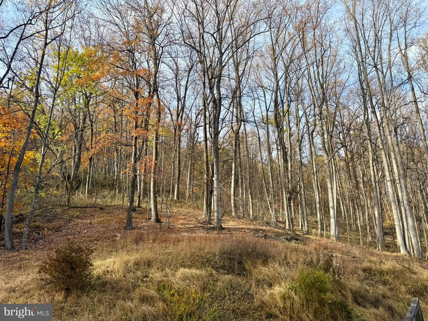 669 GID BROWN HOLLOW RD, WASHINGTON, Virginia 22747, 3 Bedrooms Bedrooms, ,2 BathroomsBathrooms,Residential,For sale,669 GID BROWN HOLLOW RD,VARP2002262 MLS # VARP2002262 669 GID BROWN HOLLOW RD, WASHINGTON, Virginia 22747, 3 Bedrooms Bedrooms, ,2 BathroomsBathrooms,Residential,For sale,669 GID BROWN HOLLOW RD,VARP2002262 MLS # VARP2002262