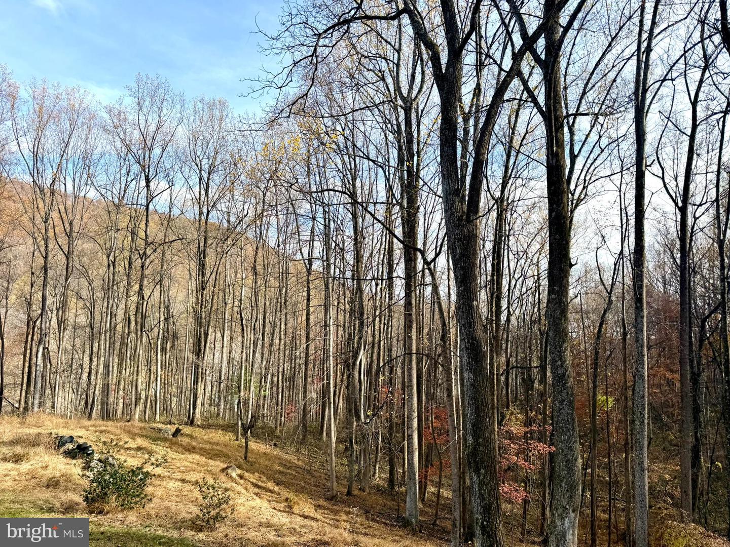 669 GID BROWN HOLLOW RD, WASHINGTON, Virginia 22747, 3 Bedrooms Bedrooms, ,2 BathroomsBathrooms,Residential,For sale,669 GID BROWN HOLLOW RD,VARP2002262 MLS # VARP2002262 669 GID BROWN HOLLOW RD, WASHINGTON, Virginia 22747, 3 Bedrooms Bedrooms, ,2 BathroomsBathrooms,Residential,For sale,669 GID BROWN HOLLOW RD,VARP2002262 MLS # VARP2002262