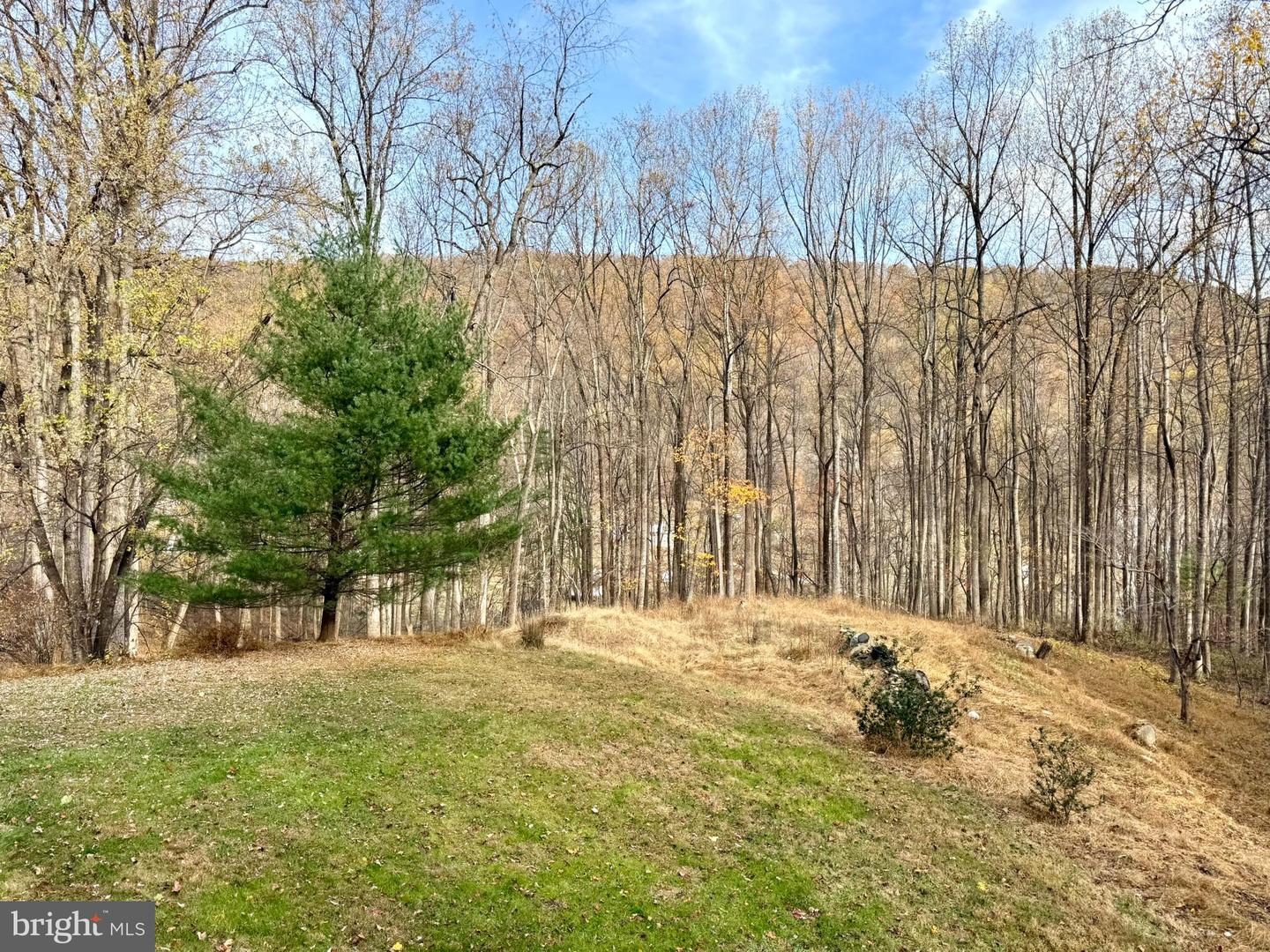 669 GID BROWN HOLLOW RD, WASHINGTON, Virginia 22747, 3 Bedrooms Bedrooms, ,2 BathroomsBathrooms,Residential,For sale,669 GID BROWN HOLLOW RD,VARP2002262 MLS # VARP2002262 669 GID BROWN HOLLOW RD, WASHINGTON, Virginia 22747, 3 Bedrooms Bedrooms, ,2 BathroomsBathrooms,Residential,For sale,669 GID BROWN HOLLOW RD,VARP2002262 MLS # VARP2002262