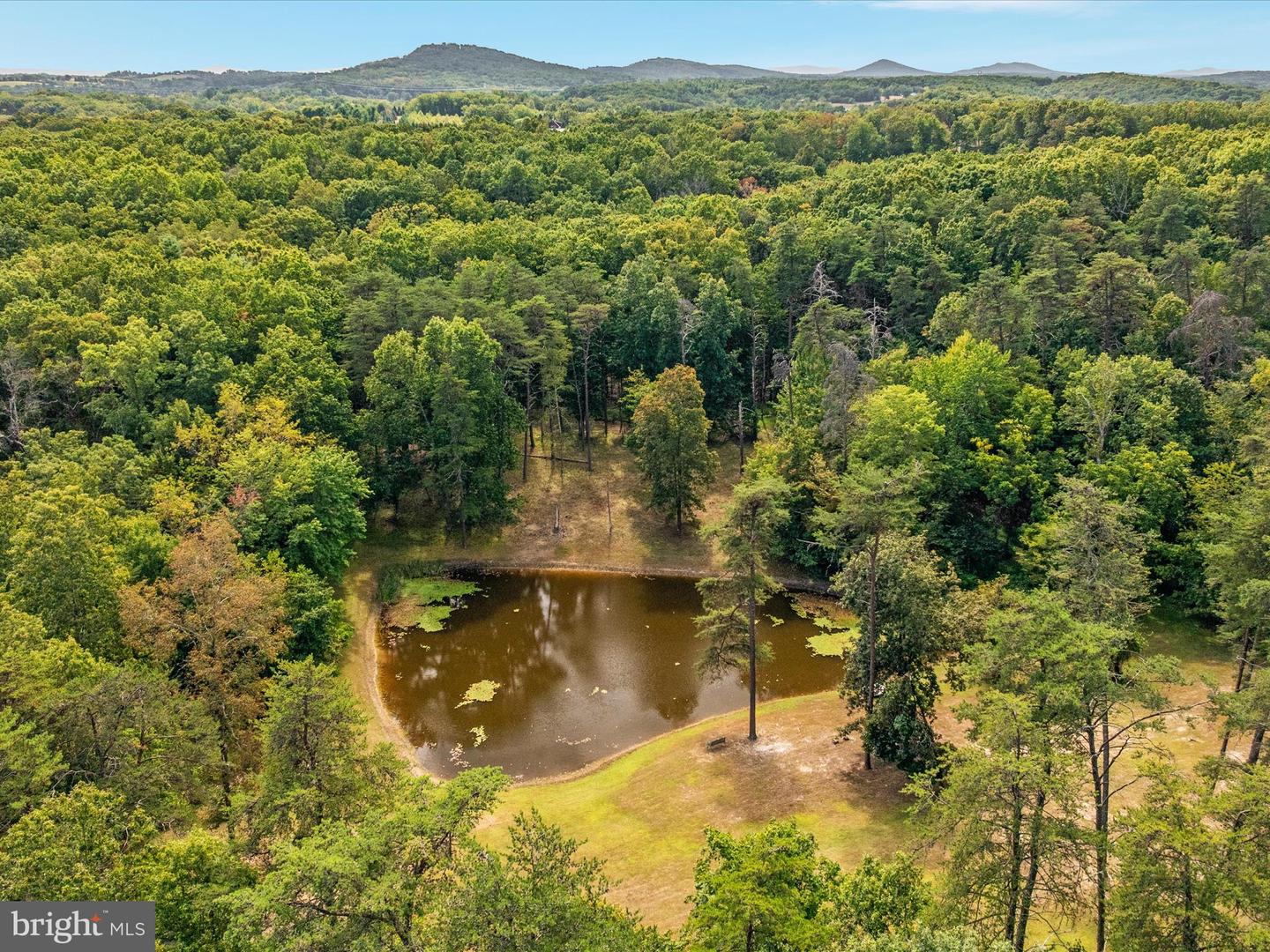 2321 CEDAR GROVE RD, WINCHESTER, Virginia 22603, 4 Bedrooms Bedrooms, ,3 BathroomsBathrooms,Residential,For sale,2321 CEDAR GROVE RD,VAFV2036792 MLS # VAFV2036792