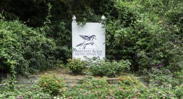 9195 SPRINGWOOD RD, BUCHANAN, Virginia 24066, 2 Bedrooms Bedrooms, ,1 BathroomBathrooms,Residential,For sale,9195 SPRINGWOOD RD,668924 MLS # 668924