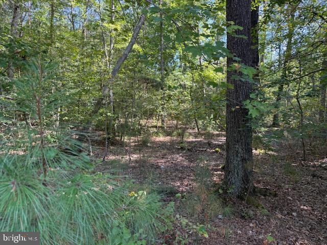 6 STAFFORD CV, RUTHER GLEN, Virginia 22546, ,Land,For sale,6 STAFFORD CV,VACV2008832 MLS # VACV2008832