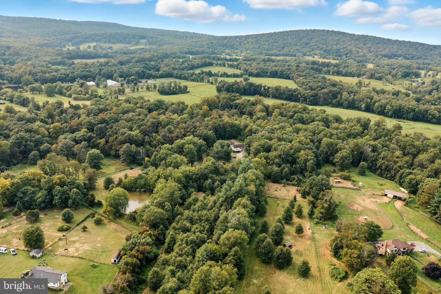 PINEY RUN LN, HILLSBORO, Virginia 20132, ,Land,For sale,PINEY RUN LN,VALO2106868 MLS # VALO2106868