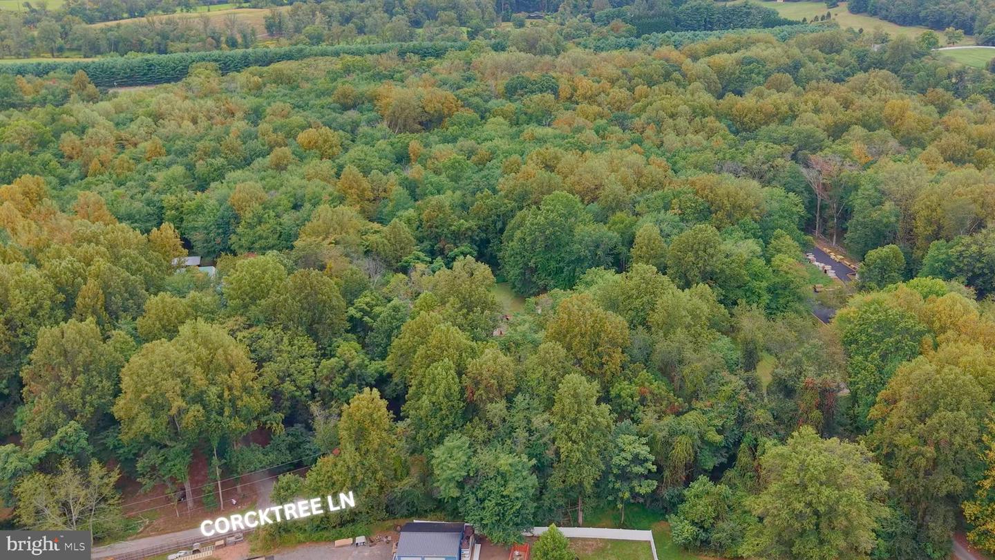 CORKTREE LN, ALDIE, Virginia 20105, ,Land,For sale,CORKTREE LN,VALO2106890 MLS # VALO2106890