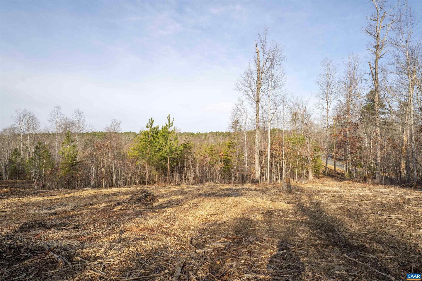 3860-5 GILBERT STATION RD #LOT 5, BARBOURSVILLE, Virginia 22923, ,Land,For sale,3860-5 GILBERT STATION RD #LOT 5,669031 MLS # 669031