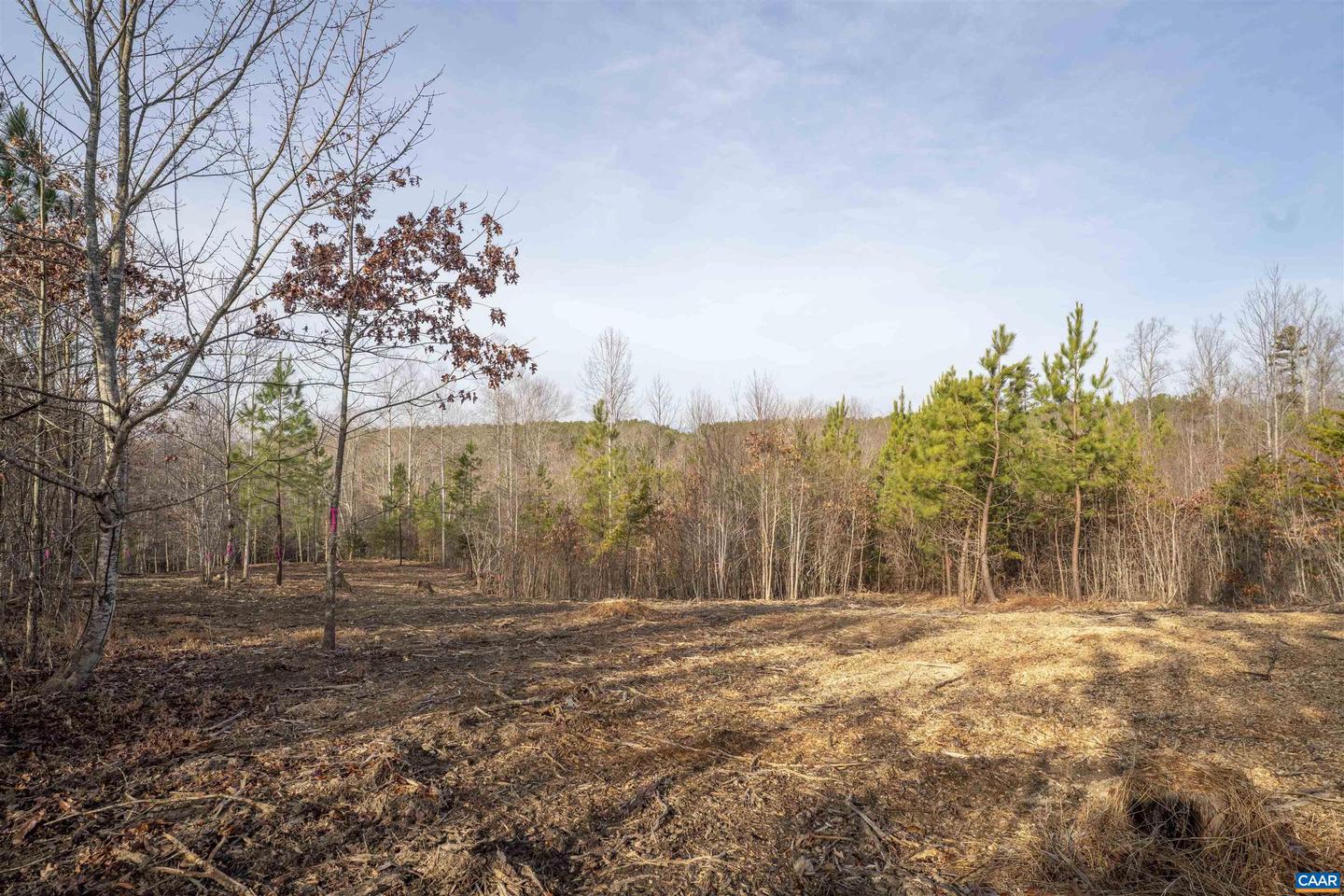 3860-5 GILBERT STATION RD #LOT 5, BARBOURSVILLE, Virginia 22923, ,Land,For sale,3860-5 GILBERT STATION RD #LOT 5,669031 MLS # 669031