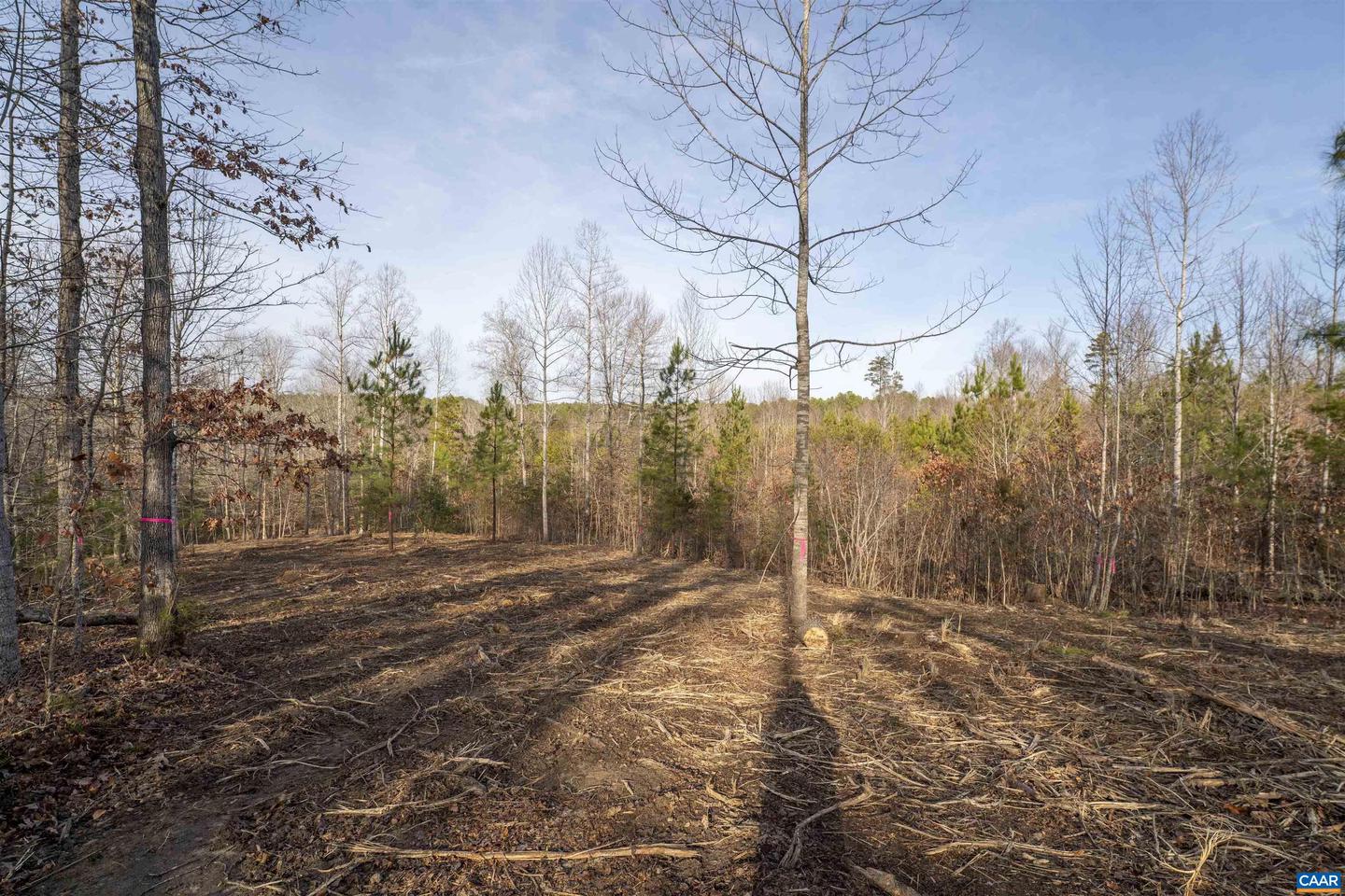 3860-5 GILBERT STATION RD #LOT 5, BARBOURSVILLE, Virginia 22923, ,Land,For sale,3860-5 GILBERT STATION RD #LOT 5,669031 MLS # 669031