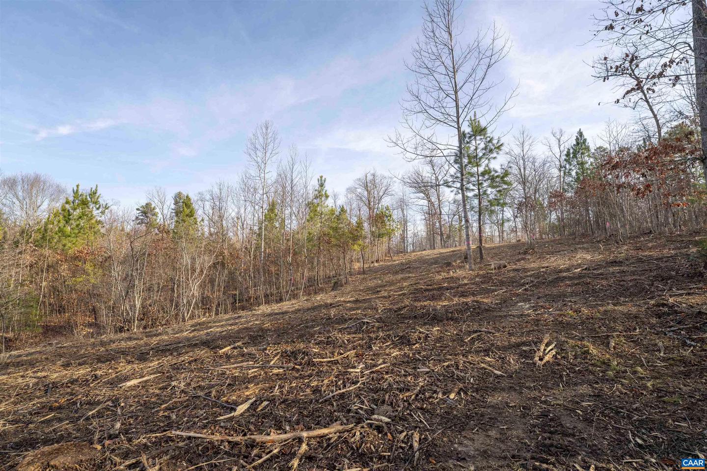 3860-5 GILBERT STATION RD #LOT 5, BARBOURSVILLE, Virginia 22923, ,Land,For sale,3860-5 GILBERT STATION RD #LOT 5,669031 MLS # 669031