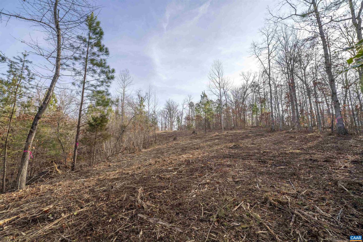 3860-5 GILBERT STATION RD #LOT 5, BARBOURSVILLE, Virginia 22923, ,Land,For sale,3860-5 GILBERT STATION RD #LOT 5,669031 MLS # 669031