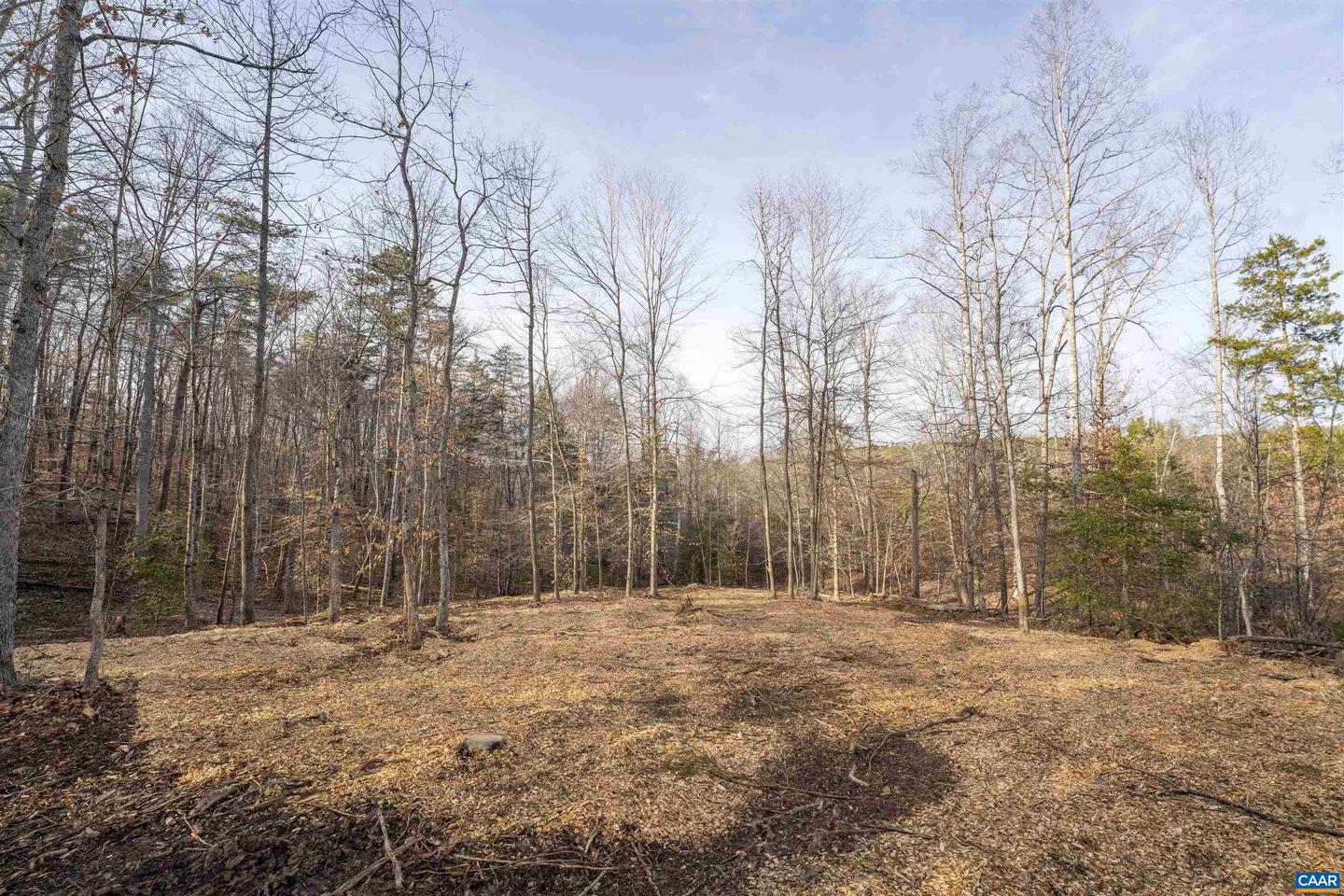 3860-5 GILBERT STATION RD #LOT 5, BARBOURSVILLE, Virginia 22923, ,Land,For sale,3860-5 GILBERT STATION RD #LOT 5,669031 MLS # 669031