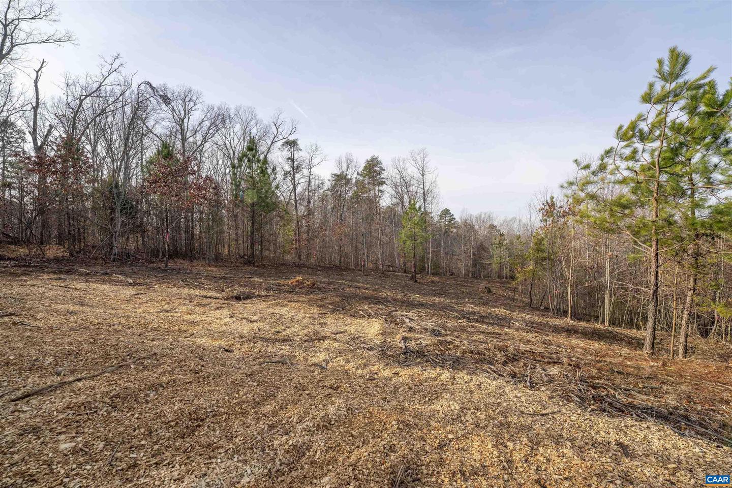 3860-5 GILBERT STATION RD #LOT 5, BARBOURSVILLE, Virginia 22923, ,Land,For sale,3860-5 GILBERT STATION RD #LOT 5,669031 MLS # 669031