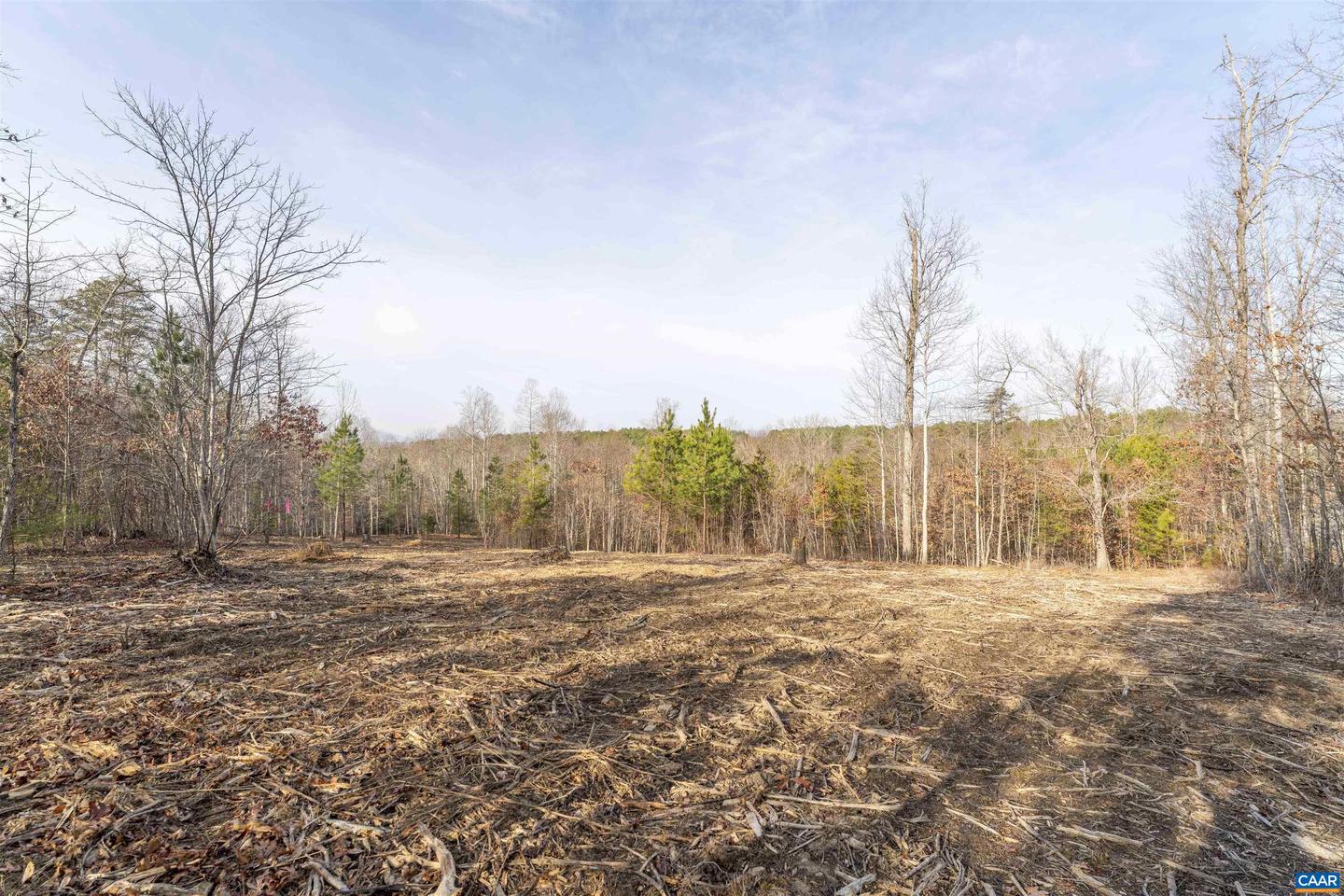 3860-5 GILBERT STATION RD #LOT 5, BARBOURSVILLE, Virginia 22923, ,Land,For sale,3860-5 GILBERT STATION RD #LOT 5,669031 MLS # 669031