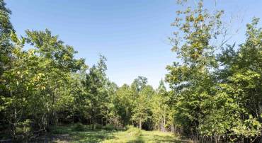 3860 GILBERT STATION RD, BARBOURSVILLE, Virginia 22923, ,Land,For sale,3860 GILBERT STATION RD,669031 MLS # 669031