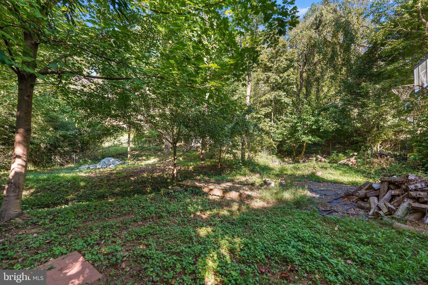 6436 MAPLEWOOD DR, FALLS CHURCH, Virginia 22041, 4 Bedrooms Bedrooms, ,2 BathroomsBathrooms,Residential,For sale,6436 MAPLEWOOD DR,VAFX2264190 MLS # VAFX2264190
