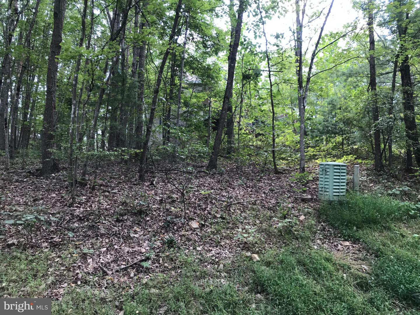 0 MALLARD DR, MOUNT JACKSON, Virginia 22842, ,Land,For sale,0 MALLARD DR,VASH2007766 MLS # VASH2007766
