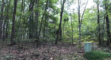 0 MALLARD DR, MOUNT JACKSON, Virginia 22842, ,Land,For sale,0 MALLARD DR,VASH2007766 MLS # VASH2007766