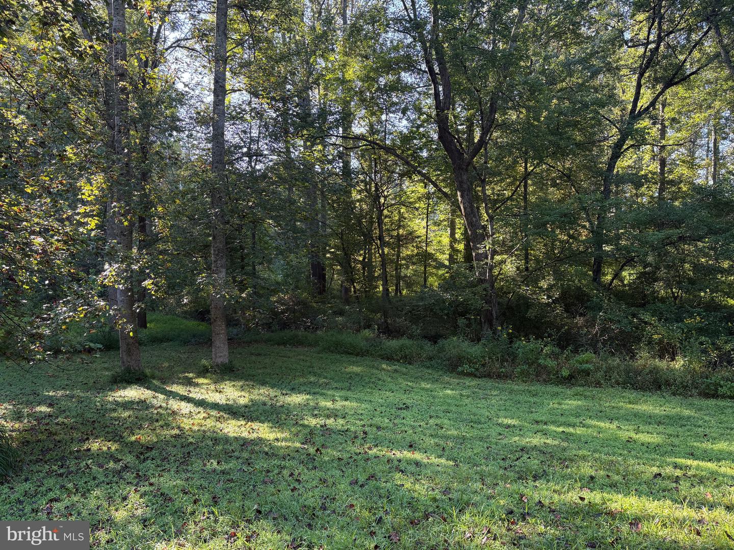 0 PINE TORCH, MADISON, Virginia 22727, ,Land,For sale,0 PINE TORCH,VAMA2002444 MLS # VAMA2002444