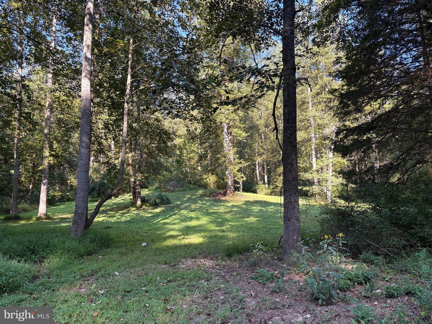 0 PINE TORCH, MADISON, Virginia 22727, ,Land,For sale,0 PINE TORCH,VAMA2002444 MLS # VAMA2002444