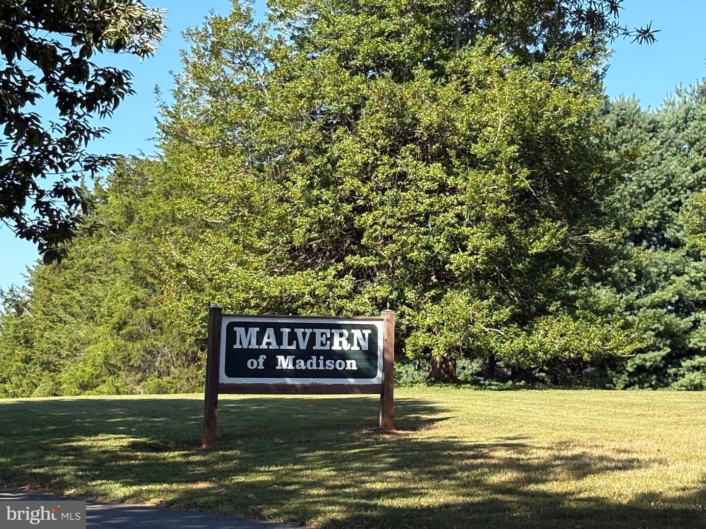 0 PINE TORCH, MADISON, Virginia 22727, ,Land,For sale,0 PINE TORCH,VAMA2002444 MLS # VAMA2002444