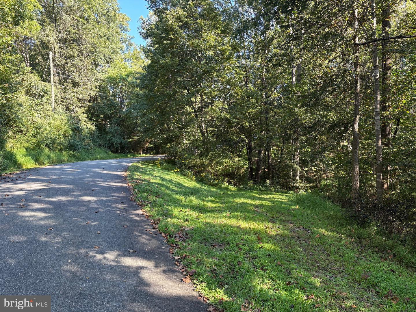 0 PINE TORCH, MADISON, Virginia 22727, ,Land,For sale,0 PINE TORCH,VAMA2002444 MLS # VAMA2002444