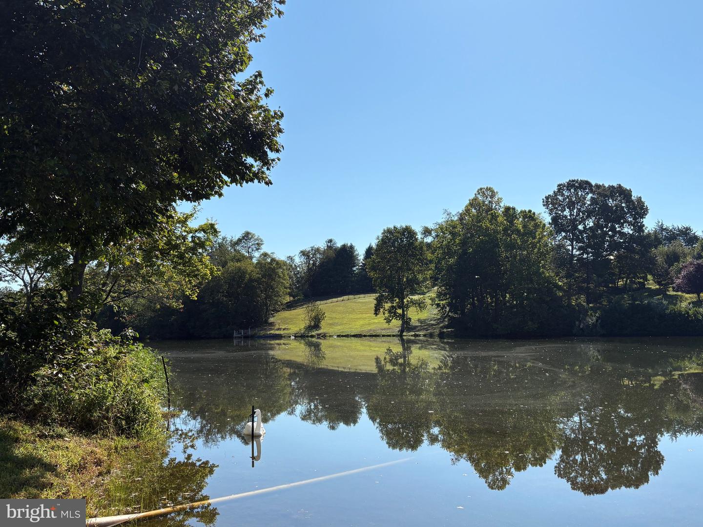 0 PINE TORCH, MADISON, Virginia 22727, ,Land,For sale,0 PINE TORCH,VAMA2002444 MLS # VAMA2002444