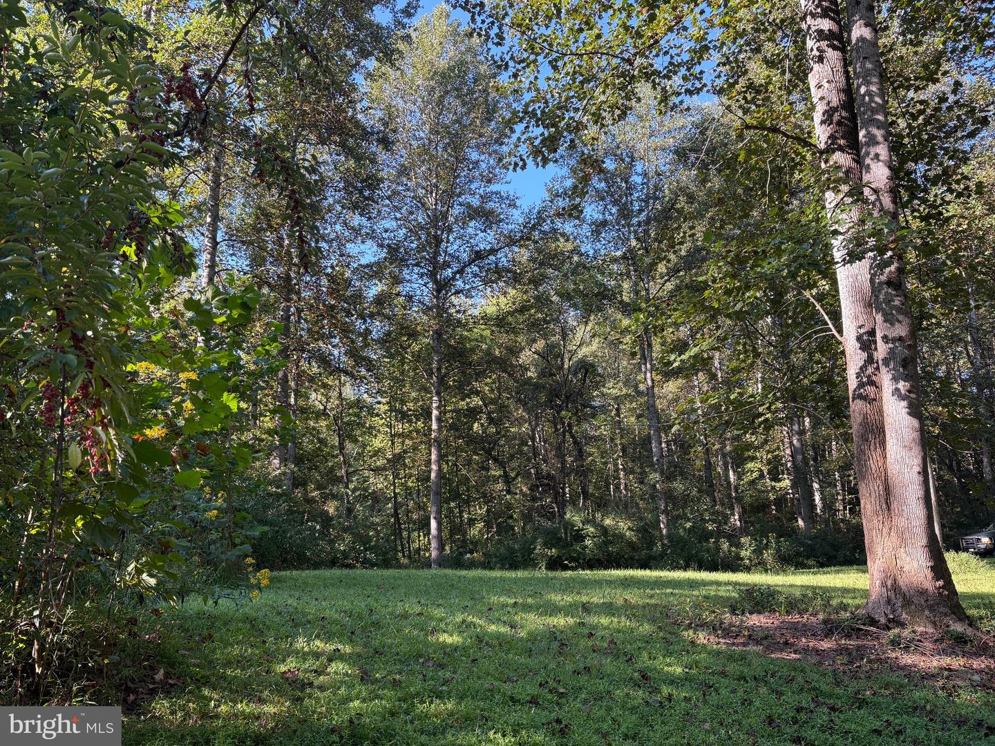 0 PINE TORCH, MADISON, Virginia 22727, ,Land,For sale,0 PINE TORCH,VAMA2002444 MLS # VAMA2002444