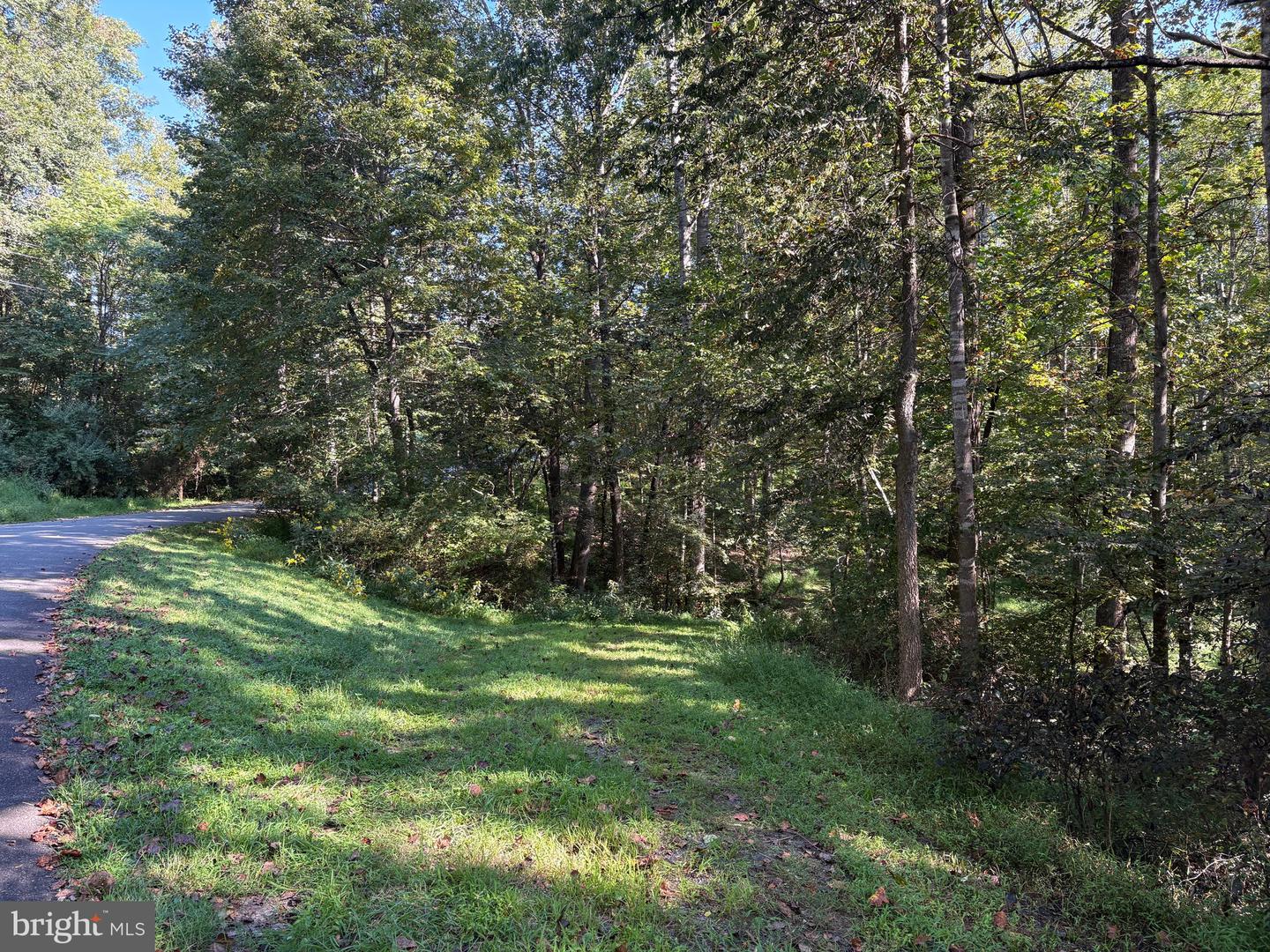 0 PINE TORCH, MADISON, Virginia 22727, ,Land,For sale,0 PINE TORCH,VAMA2002444 MLS # VAMA2002444