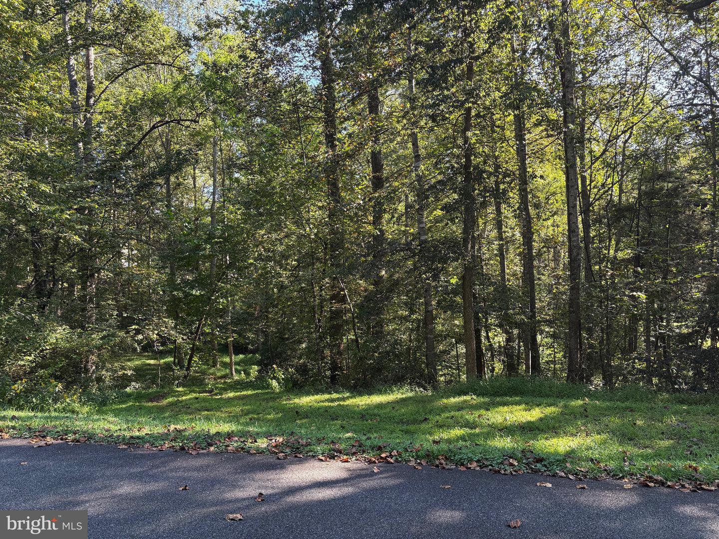 0 PINE TORCH, MADISON, Virginia 22727, ,Land,For sale,0 PINE TORCH,VAMA2002444 MLS # VAMA2002444