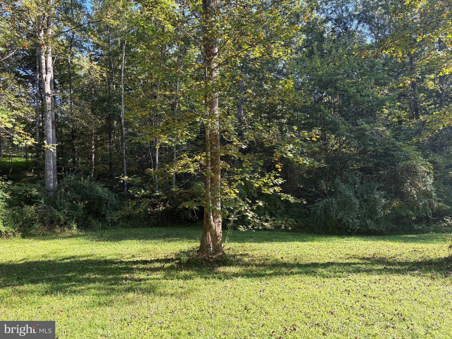 0 PINE TORCH, MADISON, Virginia 22727, ,Land,For sale,0 PINE TORCH,VAMA2002444 MLS # VAMA2002444