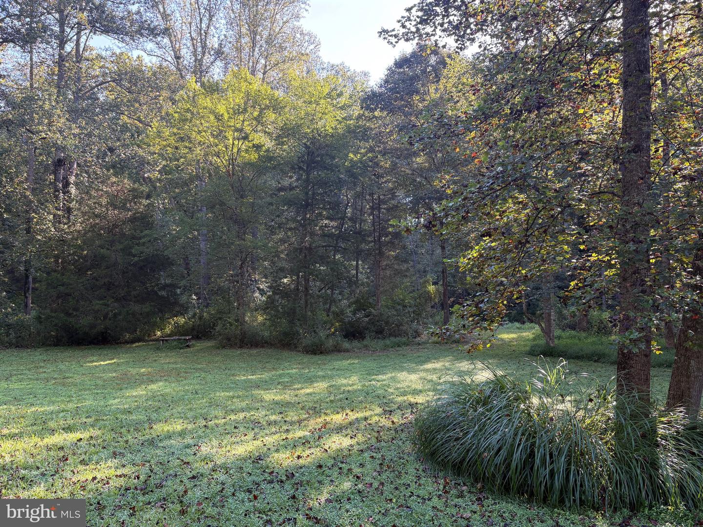 0 PINE TORCH, MADISON, Virginia 22727, ,Land,For sale,0 PINE TORCH,VAMA2002444 MLS # VAMA2002444