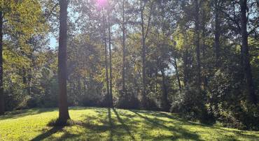 0 PINE TORCH, MADISON, Virginia 22727, ,Land,For sale,0 PINE TORCH,VAMA2002444 MLS # VAMA2002444