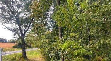 LOT 2 COVEY LANE, WINCHESTER, Virginia 22602, ,Land,For sale,LOT 2 COVEY LANE,VAFV2036830 MLS # VAFV2036830