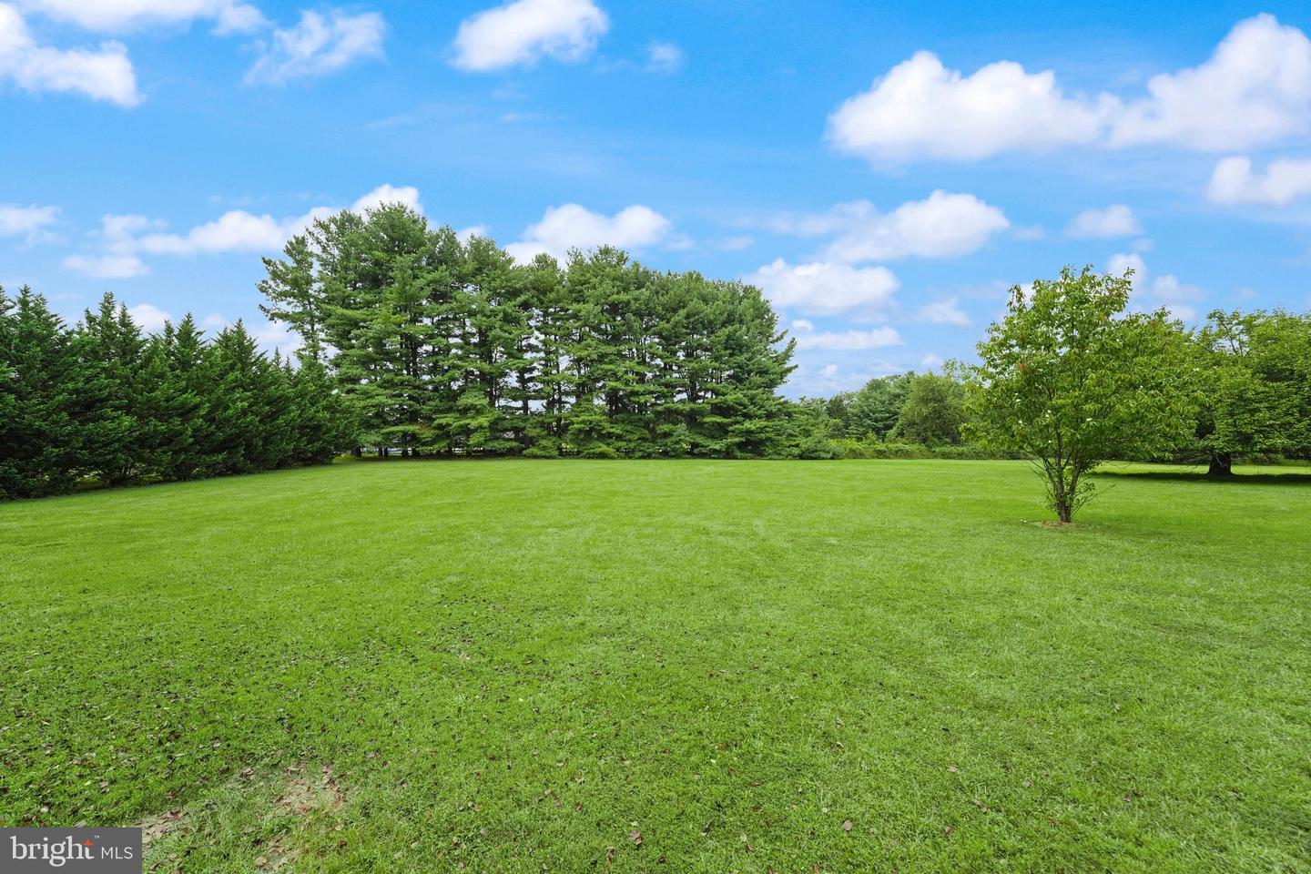 16764 HILLSBORO RD, PURCELLVILLE, Virginia 20132, 12 Bedrooms Bedrooms, ,6 BathroomsBathrooms,Residential,For sale,16764 HILLSBORO RD,VALO2106322 MLS # VALO2106322