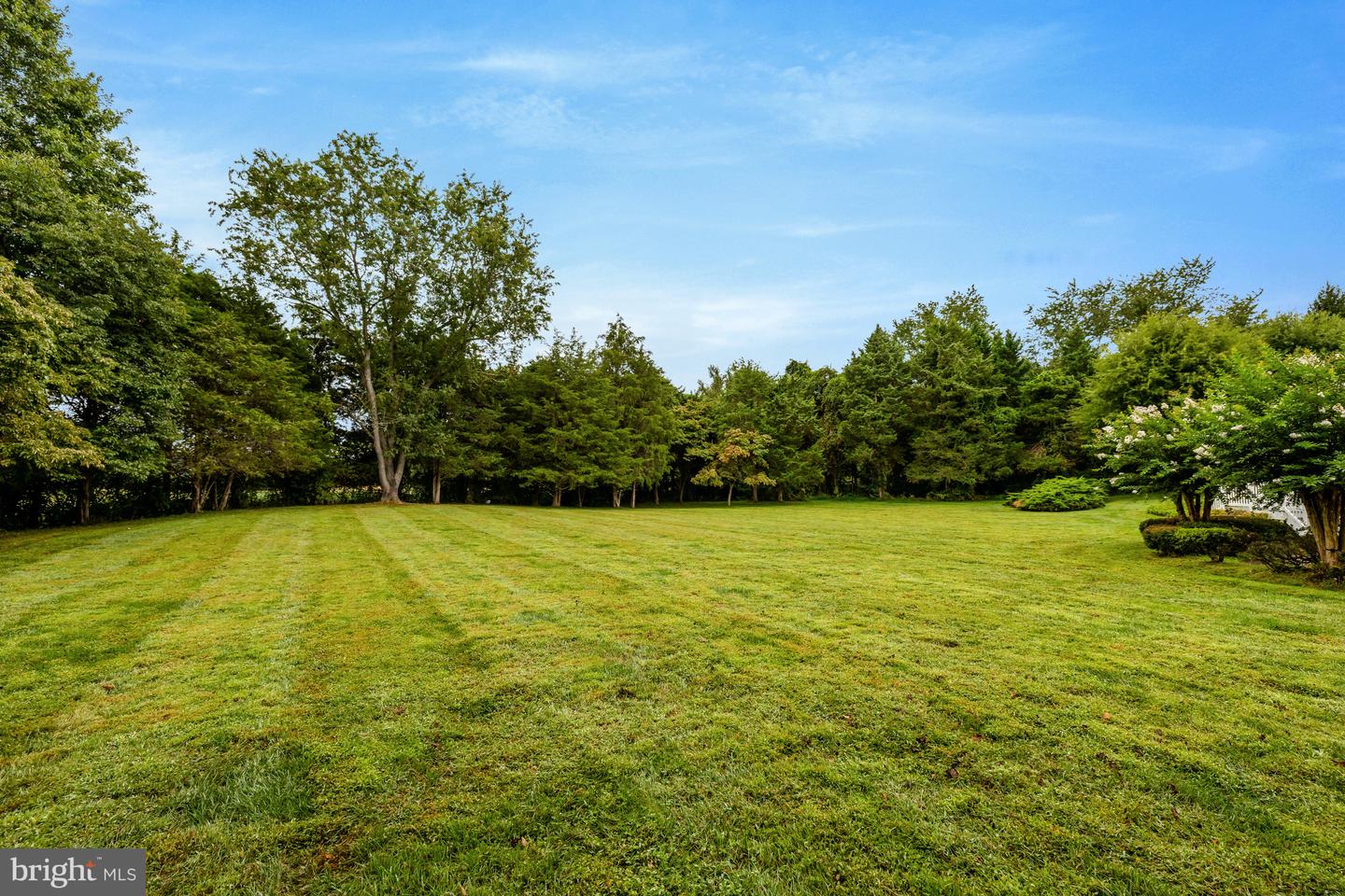 401 WALKER RD, GREAT FALLS, Virginia 22066, 4 Bedrooms Bedrooms, ,4 BathroomsBathrooms,Residential,For sale,401 WALKER RD,VAFX2265772 MLS # VAFX2265772
