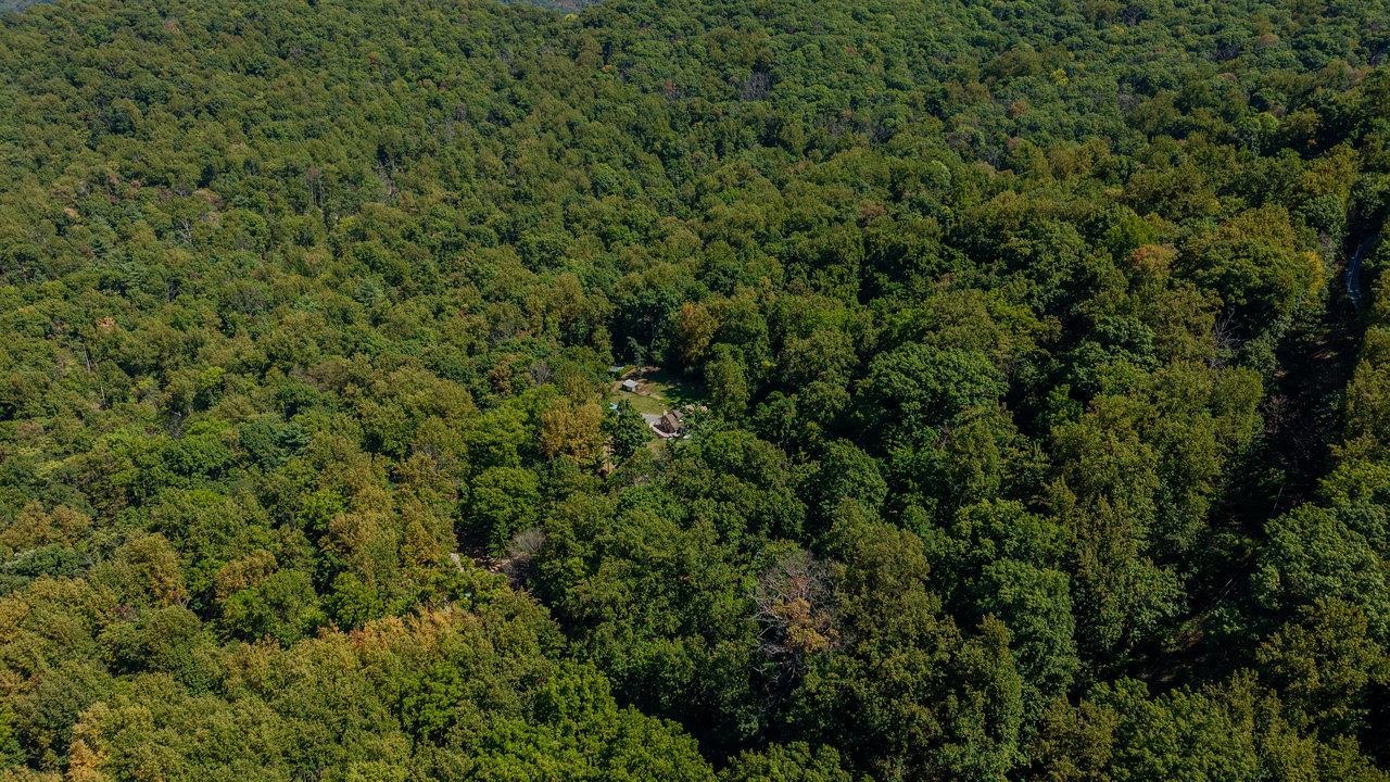 279 HELMS RD, STANLEY, Virginia 22851, 5 Bedrooms Bedrooms, ,2 BathroomsBathrooms,Residential,279 HELMS RD,669040 MLS # 669040 279 HELMS RD, STANLEY, Virginia 22851, 5 Bedrooms Bedrooms, ,2 BathroomsBathrooms,Residential,279 HELMS RD,669040 MLS # 669040