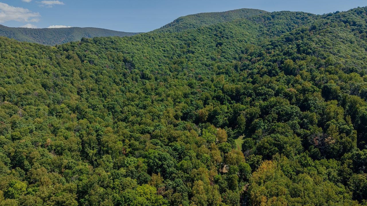 279 HELMS RD, STANLEY, Virginia 22851, 5 Bedrooms Bedrooms, ,2 BathroomsBathrooms,Residential,279 HELMS RD,669040 MLS # 669040 279 HELMS RD, STANLEY, Virginia 22851, 5 Bedrooms Bedrooms, ,2 BathroomsBathrooms,Residential,279 HELMS RD,669040 MLS # 669040