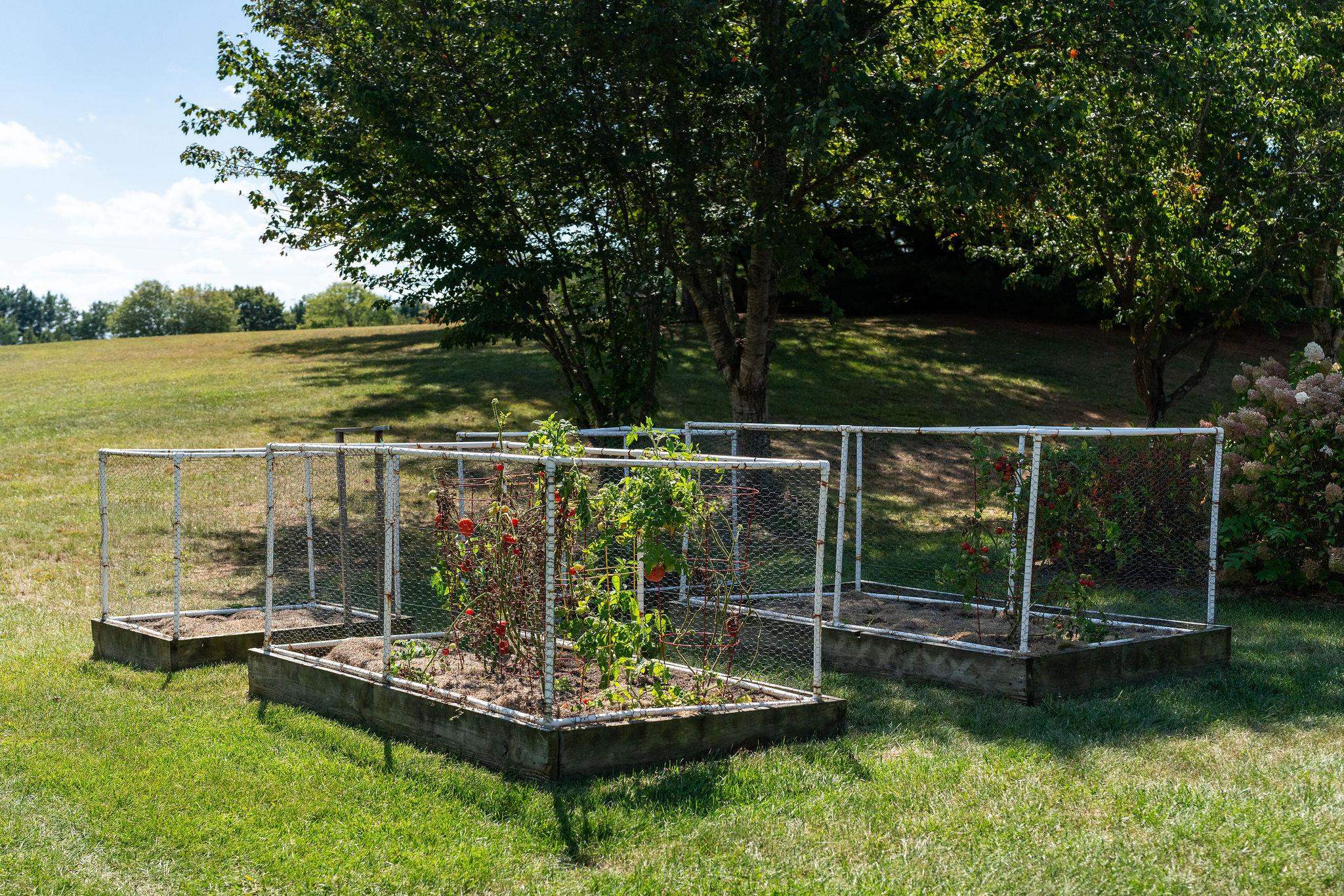 1924 PARKERSBURG TPKE, SWOOPE, Virginia 24479, 3 Bedrooms Bedrooms, ,2 BathroomsBathrooms,Residential,1924 PARKERSBURG TPKE,669042 MLS # 669042